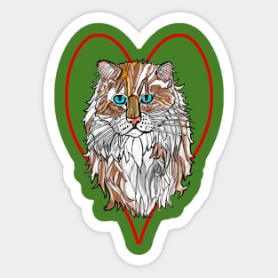 Ragamuffin Cat Sticker